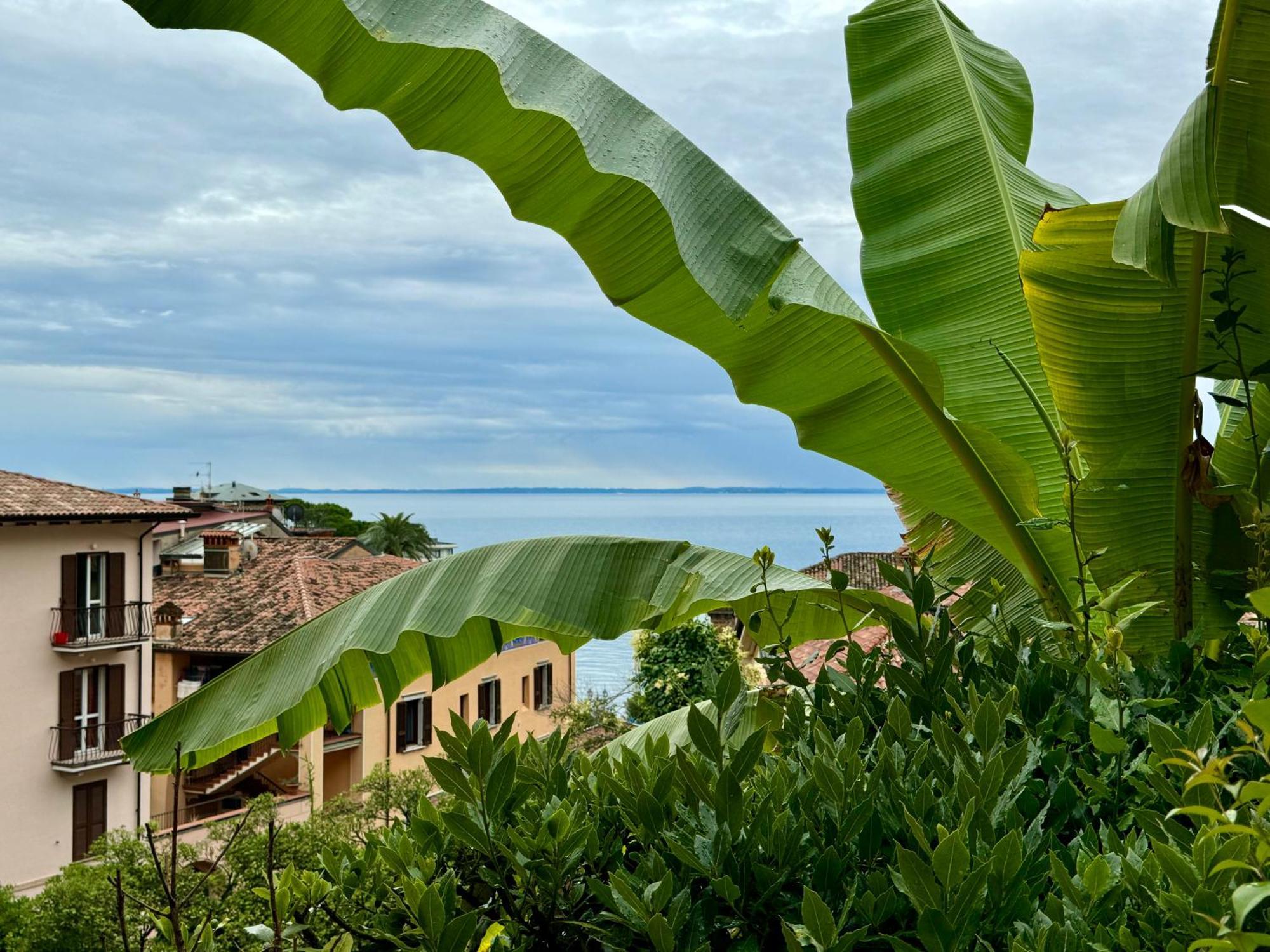 Casa Dolce Vita, Seeblick Toscolano Maderno Dış mekan fotoğraf
